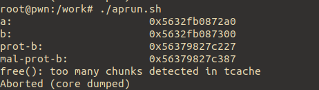 free(): too many chunks detected in tcache