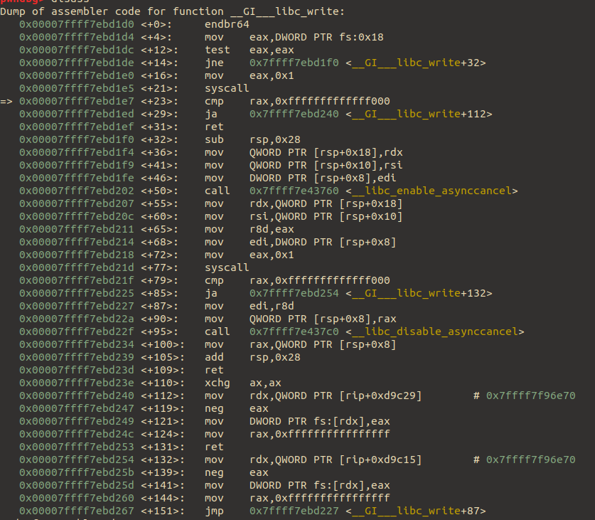 disassemble of __libc_write